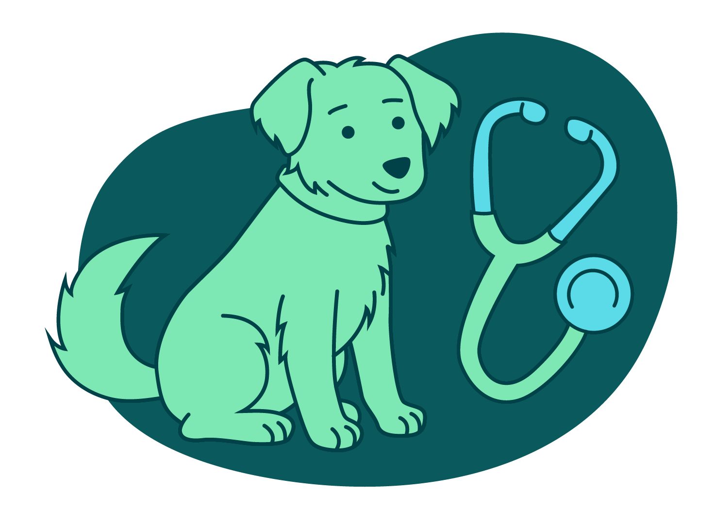 Dog ready for a vet health check